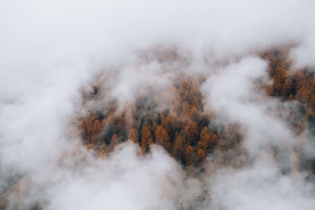 一座“未竟厝”一封《与妻书》  见证抗日英豪林谋盛的铁血丹心